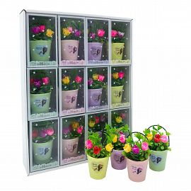 Souvenir Maceta con Planta
