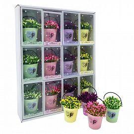 Souvenir Maceta con Planta