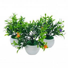 PLANTAS EN MACETAS