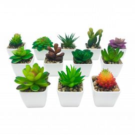 PLANTAS CON MACETA
