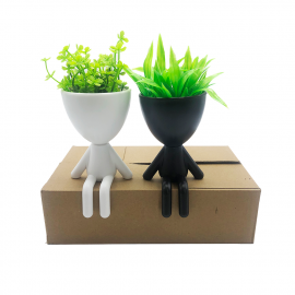 PLANTAS EN MACETA PERSONITA
