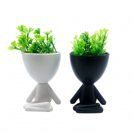 PLANTAS EN MACETA PERSONITA YOGA