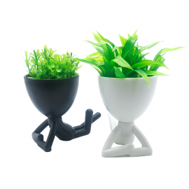 PLANTAS EN MACETA PERSONITA