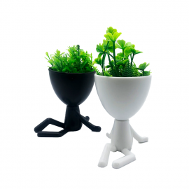 PLANTAS EN MACETA PERSONITA